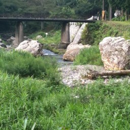 sayamayurumaru