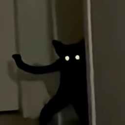 thevoid2235