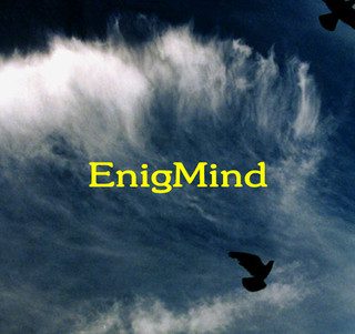 ShigeruKameda_EnigMind