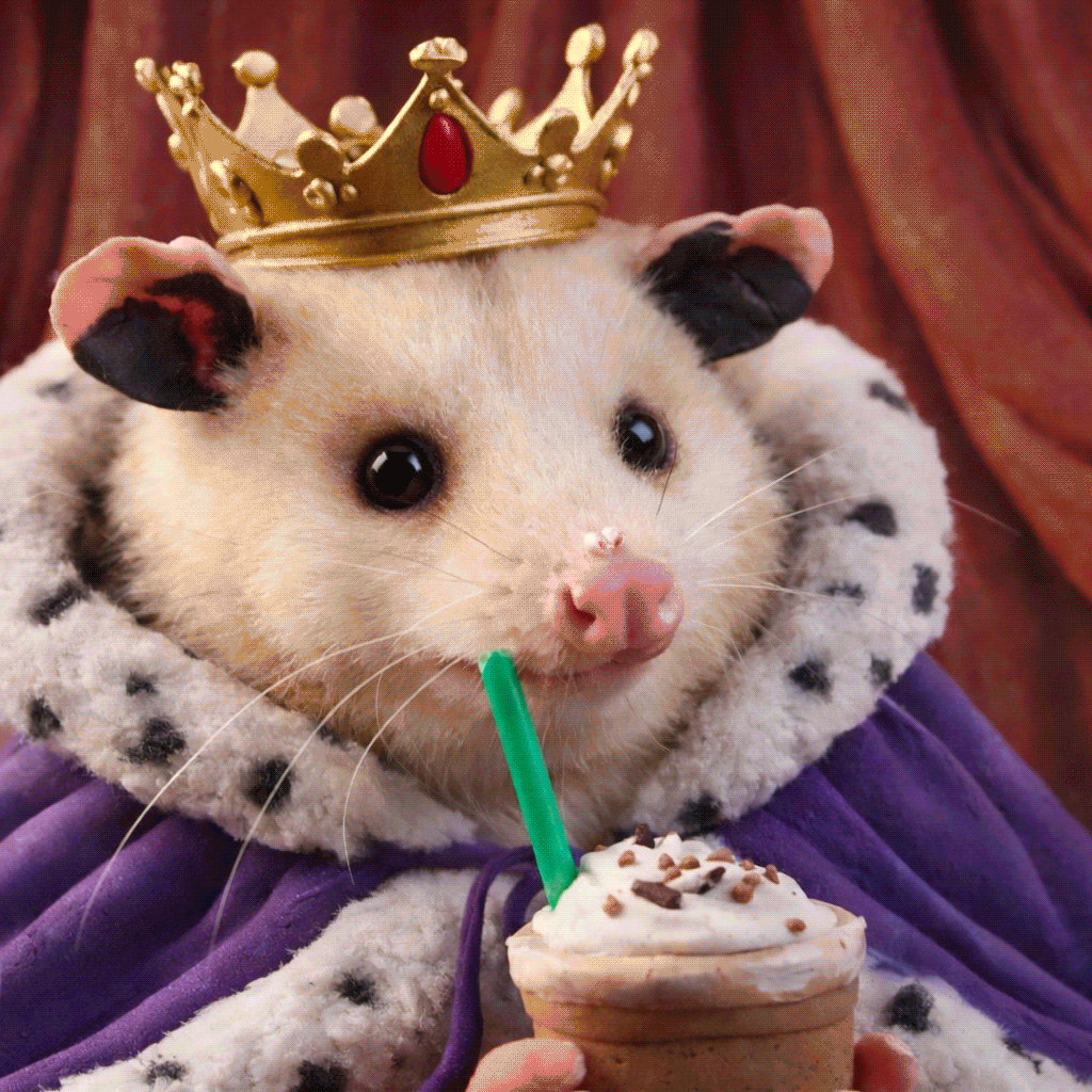 possum-kingdom