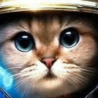Cat_commodore
