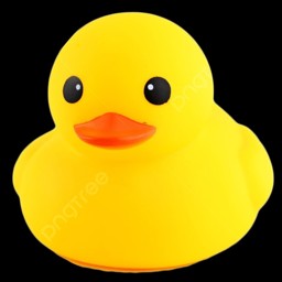 soraduckgaga