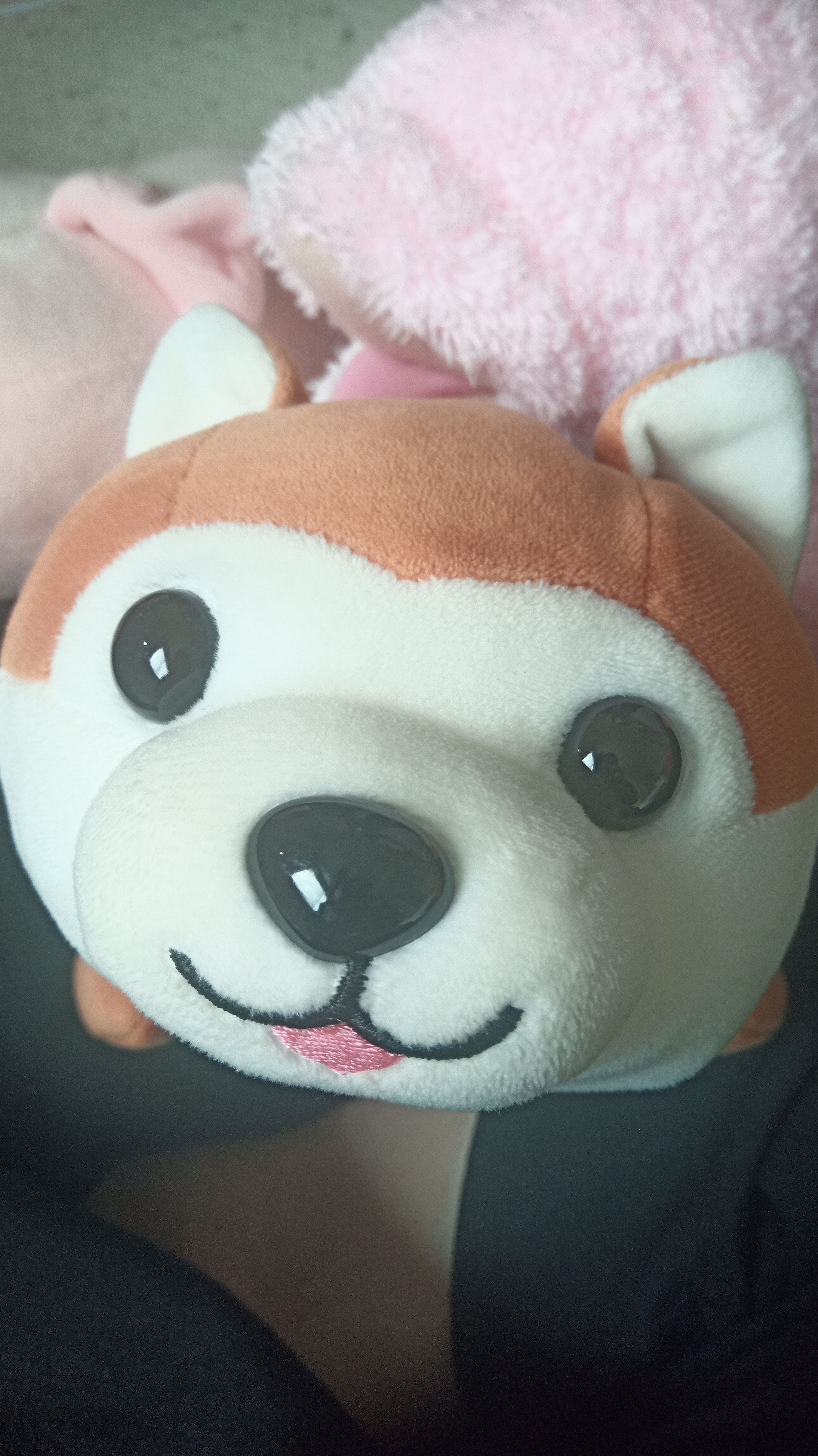 panda_dlab