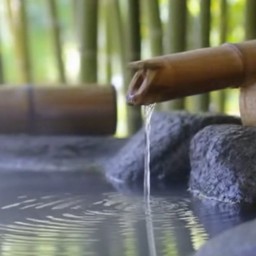 japanbeauty