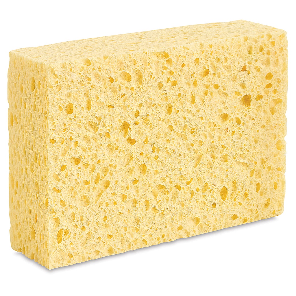 sspongee