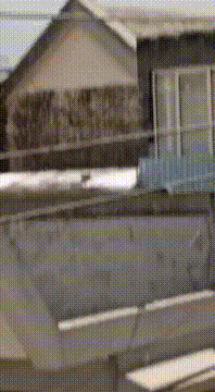 AI generated video: Haz algo raro con esta imagen