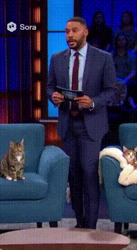 AI generated video: Realistic daytime talk show footage filmed with multiple cameras under bright…