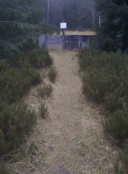 AI generated video: First-person shooting. The camera moves quickly forward and shakes as if the…