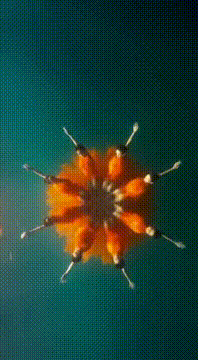 AI generated video: AI Generated Video