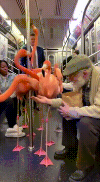 AI generated video: A subway train filled with flamingos and an old man feeding them. But the…