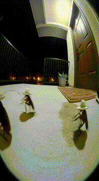 AI generated video: “Caught on Ring cam: 3 cockroaches wearing sombreros having a full-on midnight…