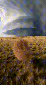 Видео, сгенерированное нейросетью: BORDERLANDS: Montana–North Dakota state line | Specific Location: Vast…