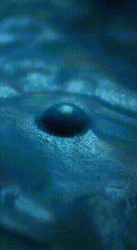 AI generated video: # Clay and Time – The Evolution of Touch ## Concept A stop-motion clay…
