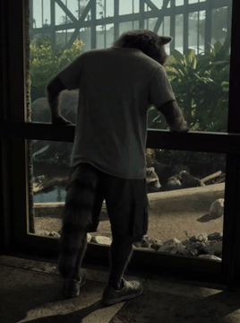AI generated video: integrated_multimodal_description: [Shot 1] 3D CG, bright midday zoo enclosure…