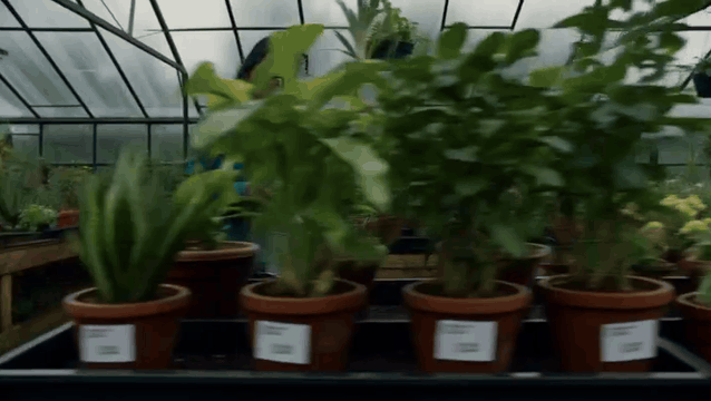 AI generated video: AI Generated Video