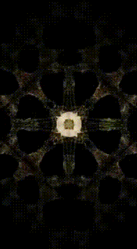 AI generated video: 404 808