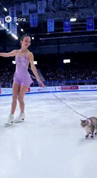 AI generated video: Professional competition footage inside an ice-skating arena filled with…