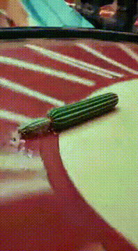 AI generated video: AI Generated Video