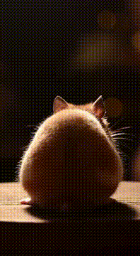 AI generated video: 🤣🤣🤣