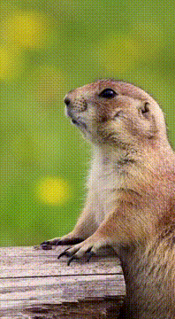 AI generated video: 😮😮😮
