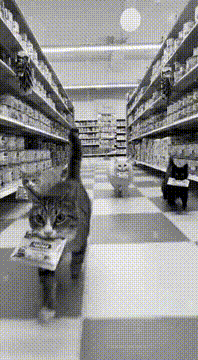 AI generated video: Five cats dash through the supermarket clutching cat treats, the scene rendered…