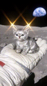 AI generated video: “The Lunar Kitten” 🪐🐱✨