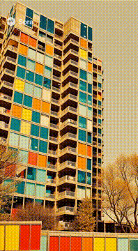 AI generated video: AI Generated Video