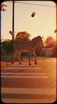 AI generated video: 5 attempts and the giraffe won’t comment on gas prices until the end. Woke…