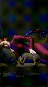 AI generated video: AI Generated Video