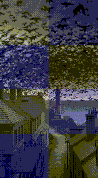 AI generated video: Birds