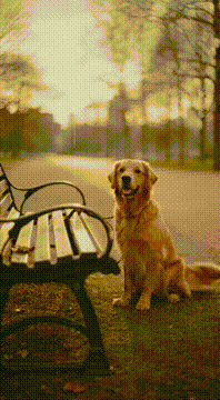AI generated video: AI Generated Video