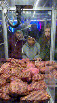 AI generated video: Change the money to a bunch of cooked ribeyes, medium rare. But they are sad…
