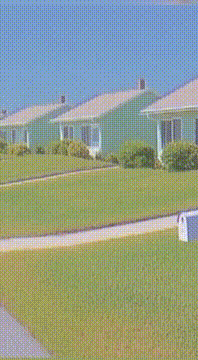 AI generated video: AI Generated Video