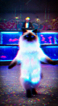 AI generated video: RAVE CAT