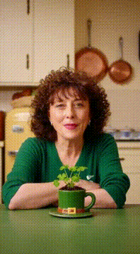 AI generated video: she’s gone now 🤍☘️🍀 but this is my grandma—her shamrock plant and something she…