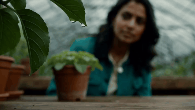 AI generated video: AI Generated Video