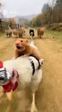 AI generated video: Do you know why they’re running?