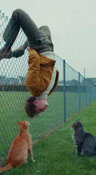 AI generated video: AI Generated Video