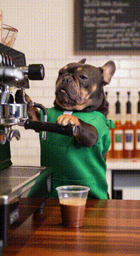 AI generated video: @getfitwit.grumblepaw is a Starbucks barista and makes yummy drinks with milk…