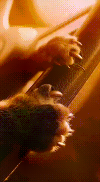 AI generated video: Heavy Load @topher Remix 🥰🥰