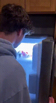 AI generated video: A rare sighting of the endangered Suburban Freezer Penguin 🐧👀 @cameoed