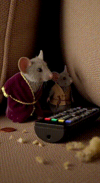 AI generated video: @kevinlieu.mouse 第八集：《遥控器之谜》 场景： 沙发缝隙 情节：…
