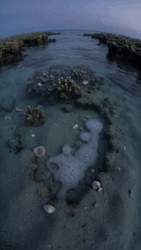 AI generated video: AI Generated Video