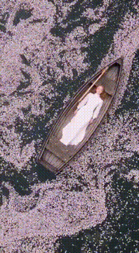 AI generated video: AI Generated Video