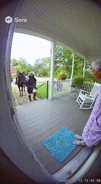 AI generated video: Make the soldiers Japanese samurai in black armor coming to recruit her to…