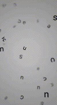 AI generated video: { "title": "LANGUAGE_SWARM_BEHAVIOR", "duration": "15s", "cut_style": "Hard cut…