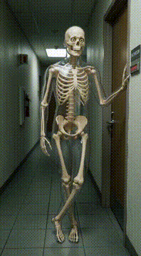 AI generated video: The skeleton shifts weight rapidly from one foot to the other. Knees press…