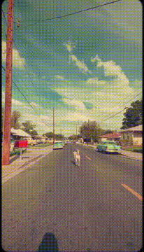 AI generated video: Don't Blink