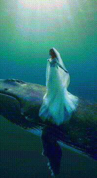 AI generated video: 💍