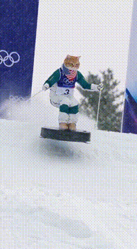 Видео, сгенерированное нейросетью: Moguls ⛷️🐈